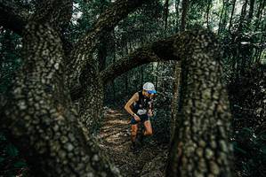 BIB: 
                            <button type="button" onclick="openModal(25663826)" class="btn btn-primary btn-sm float-right btn-popup" data-toggle="modal" data-target=".modal-high-quality">
                        <i class="fas fa-shopping-cart"></i> Add to Cart
                    </button>
                                            <button type="button" onclick="isThisMe(25663826, true)" class="btn btn-success btn-sm float-right btn-popup btn-isme hidden" data-toggle="tooltip" data-placement="bottom" title="นี่คือรูปของคุณใช่ไหม คลิกที่นี่เพื่อเอาเข้าอัลบั้ม">
                        <i class="fas fa-plus"></i> Add to album
                    </button>
                    <button type="button" onclick="isThisMe(25663826, false)" class="btn btn-warning btn-sm float-right btn-popup btn-isnotme hidden">
                        <i class="fas fa-ban"></i> Remove from album
                    </button>